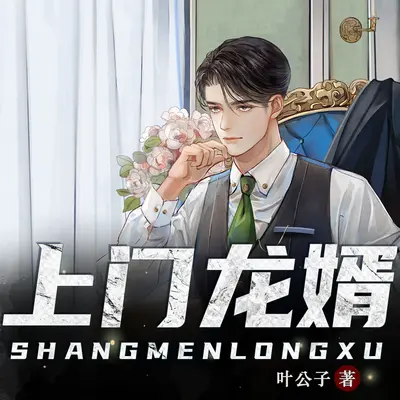 上門龍婿有聲書小說