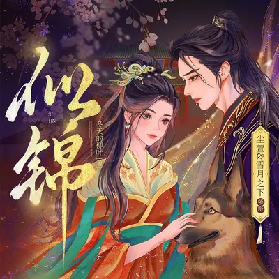 似錦有聲書小說