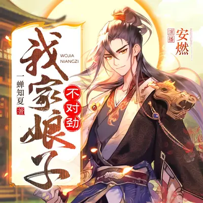 我家娘子,不對勁有聲書小說