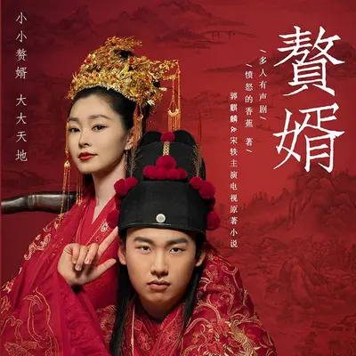 贅婿有聲書小說